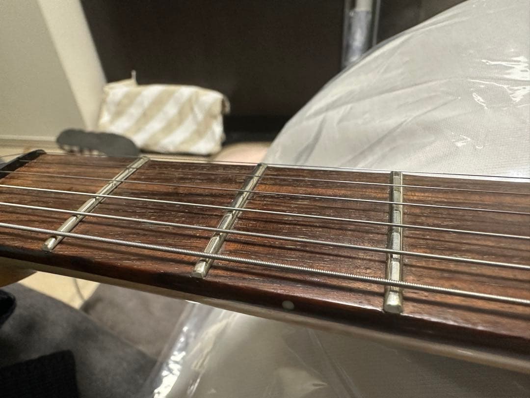 Edwards/Horizon Custom Classic Mod(日本製)