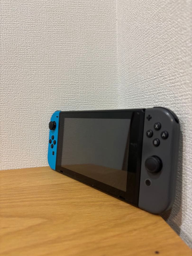 Nintendo Switch グレー ケース付
