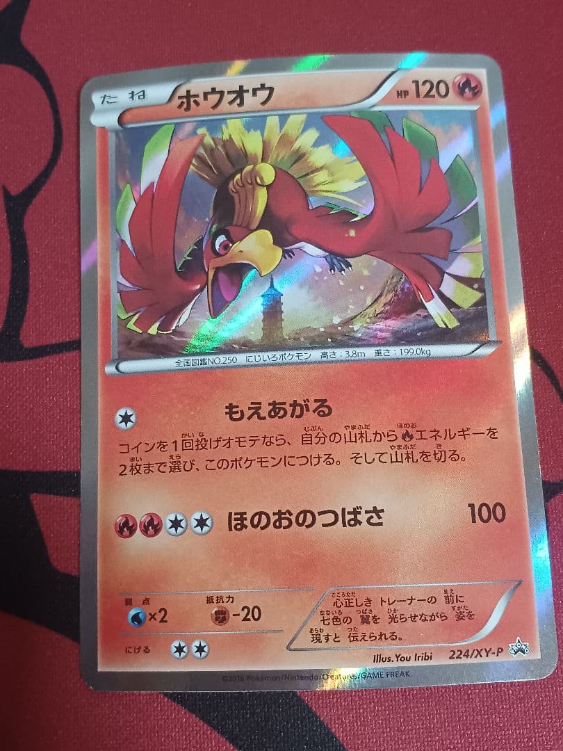 バラ売り交渉可　ホウオウ　224/xy-p　ルギア　228/xy-p