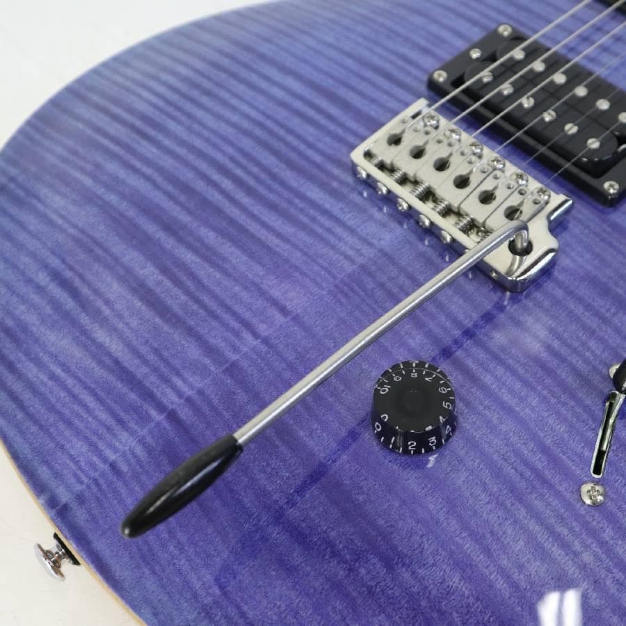 KaiKai様買い直し専用 美品 ポールリードスミス SE Custom 24