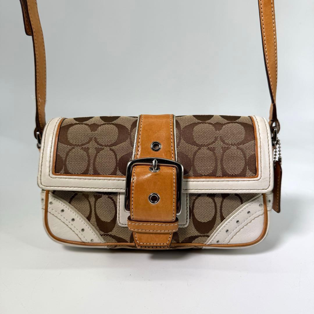 《入手困難》coach ショルダーバック ソーホー キャンバス レザー y2k