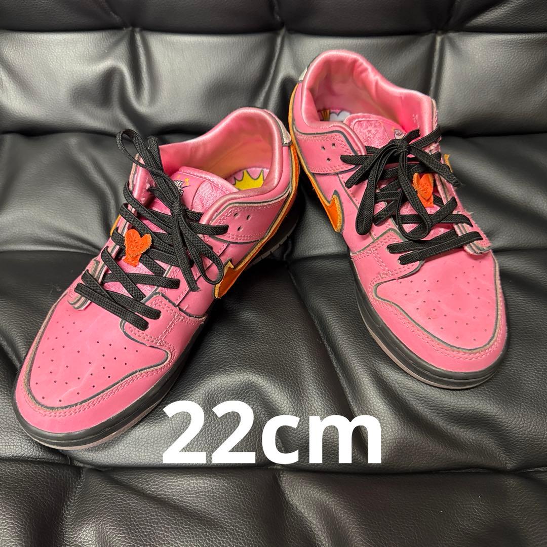 ※美品※ NIKE SB×パワーパフガールズ　22cm