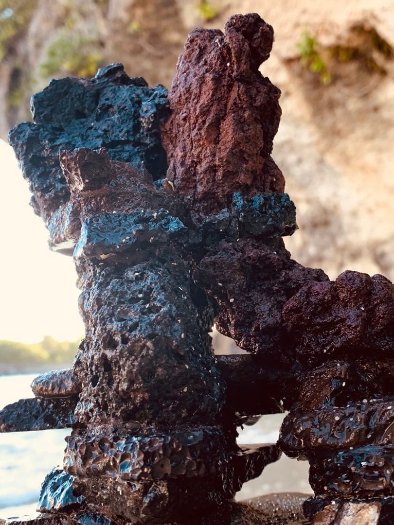 荒崎海岸デザイン溶岩　ピクシーシュリンプ海水魚　水槽　溶岩石レイアウト　濾過