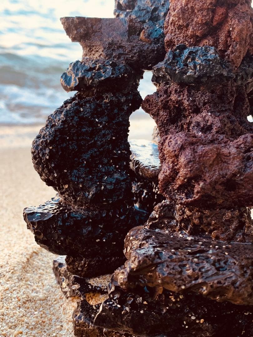 荒崎海岸デザイン溶岩　ピクシーシュリンプ海水魚　水槽　溶岩石レイアウト　濾過