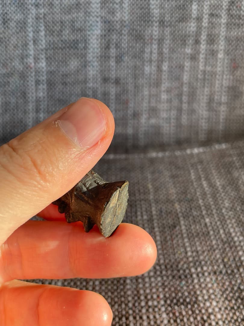 古銅・将軍大黒天