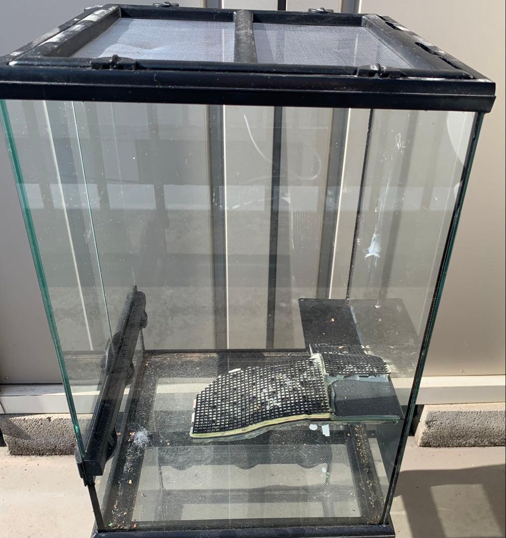 エキゾテラ　グラステラリウム　3045 レイアウト仮組み　生体未使用品