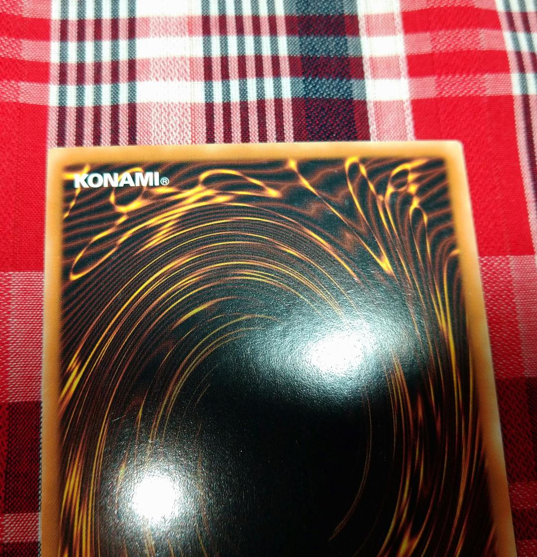 遊戯王 ブラックローズドラゴン ホロ