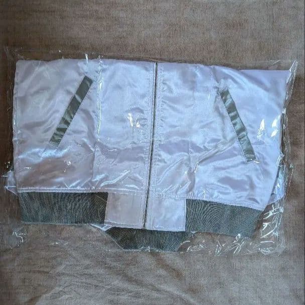 【超レア　非売品　未開封】JRAコラボ　ジャパンカップ　麺　オリジナル限定BOX