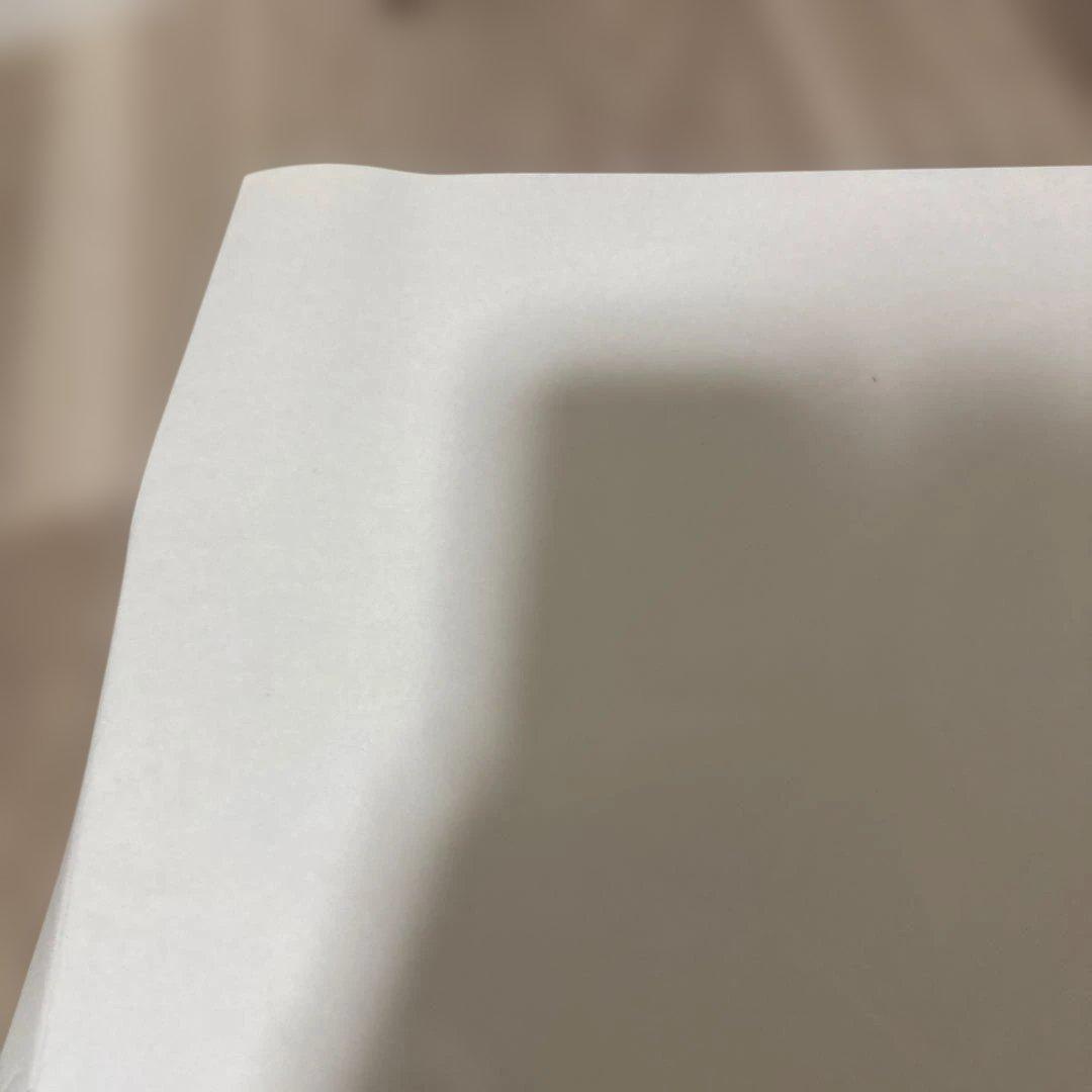 非売品❗️ドラッグオンドラグーン2 ポスター