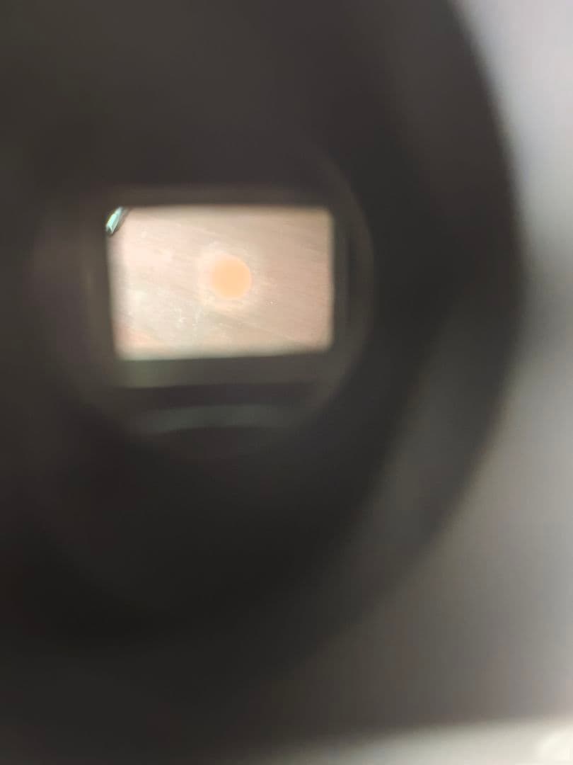 キャノンIIIA 整備済良品