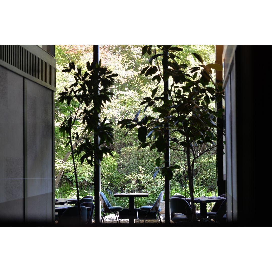 ❤即購入1000円OFF❤TAMRON 90mm F2.8 単焦点 マクロレンズ