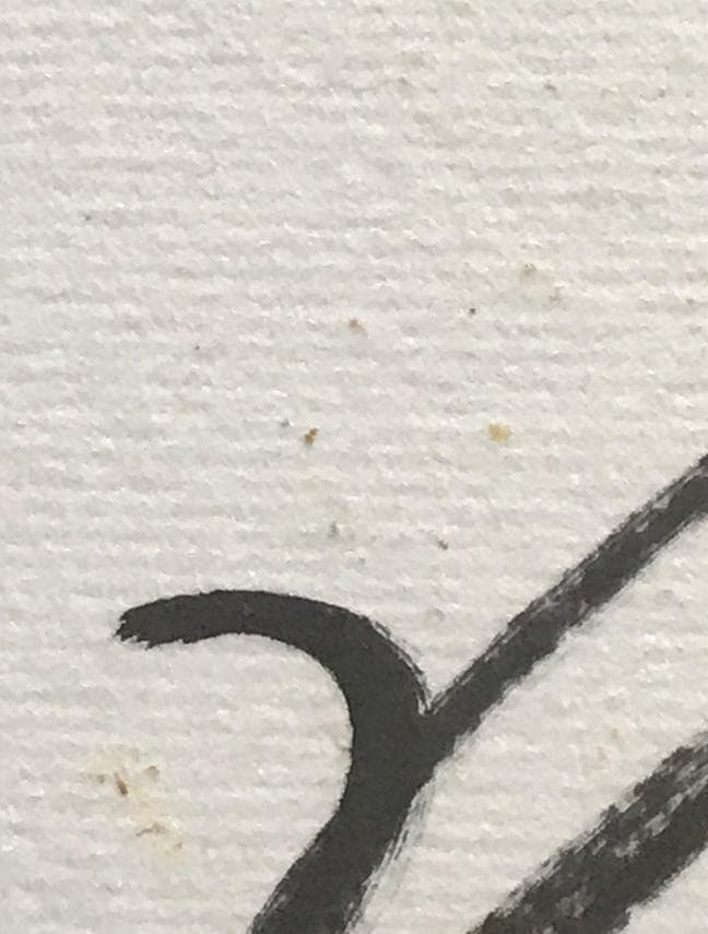 ★ZARD 坂井泉水さん　歌手デビュー前　直筆「色紙」