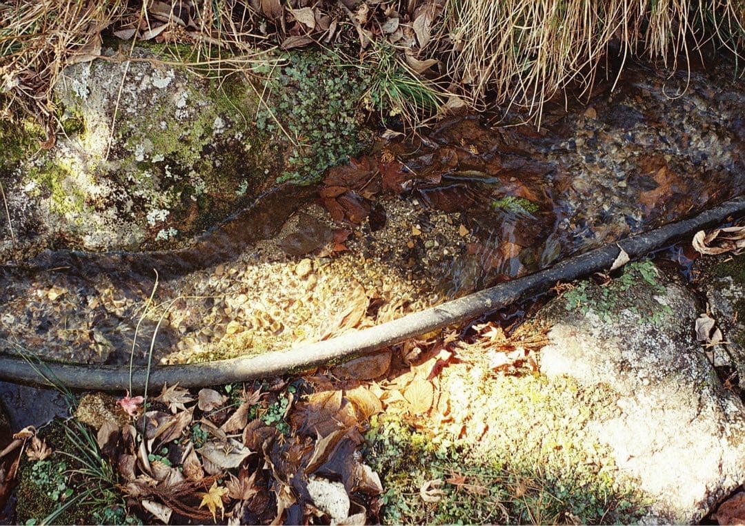 Summicron 35mm F2 7枚玉　OH済み　ドイツ製