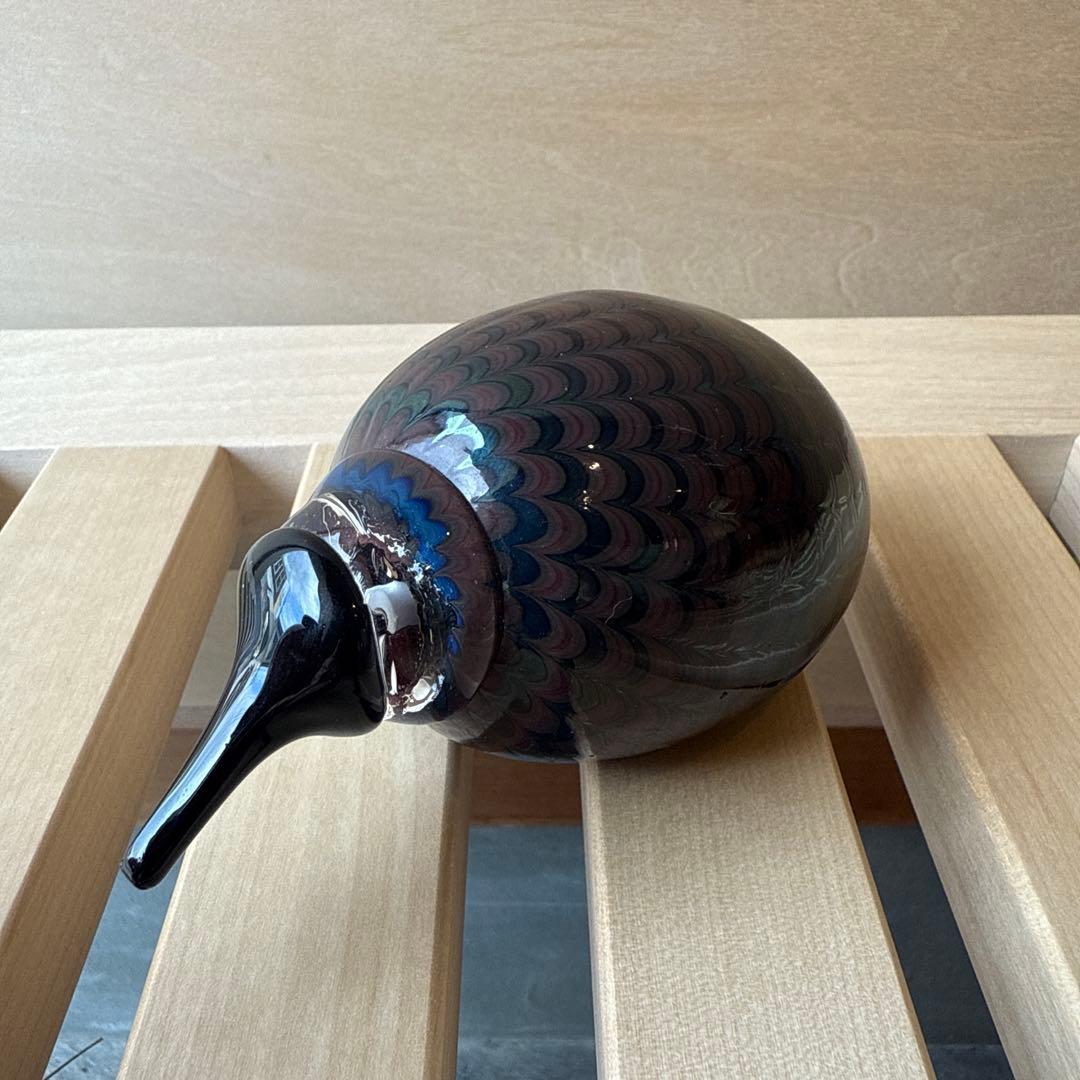 　バード　little kiwi