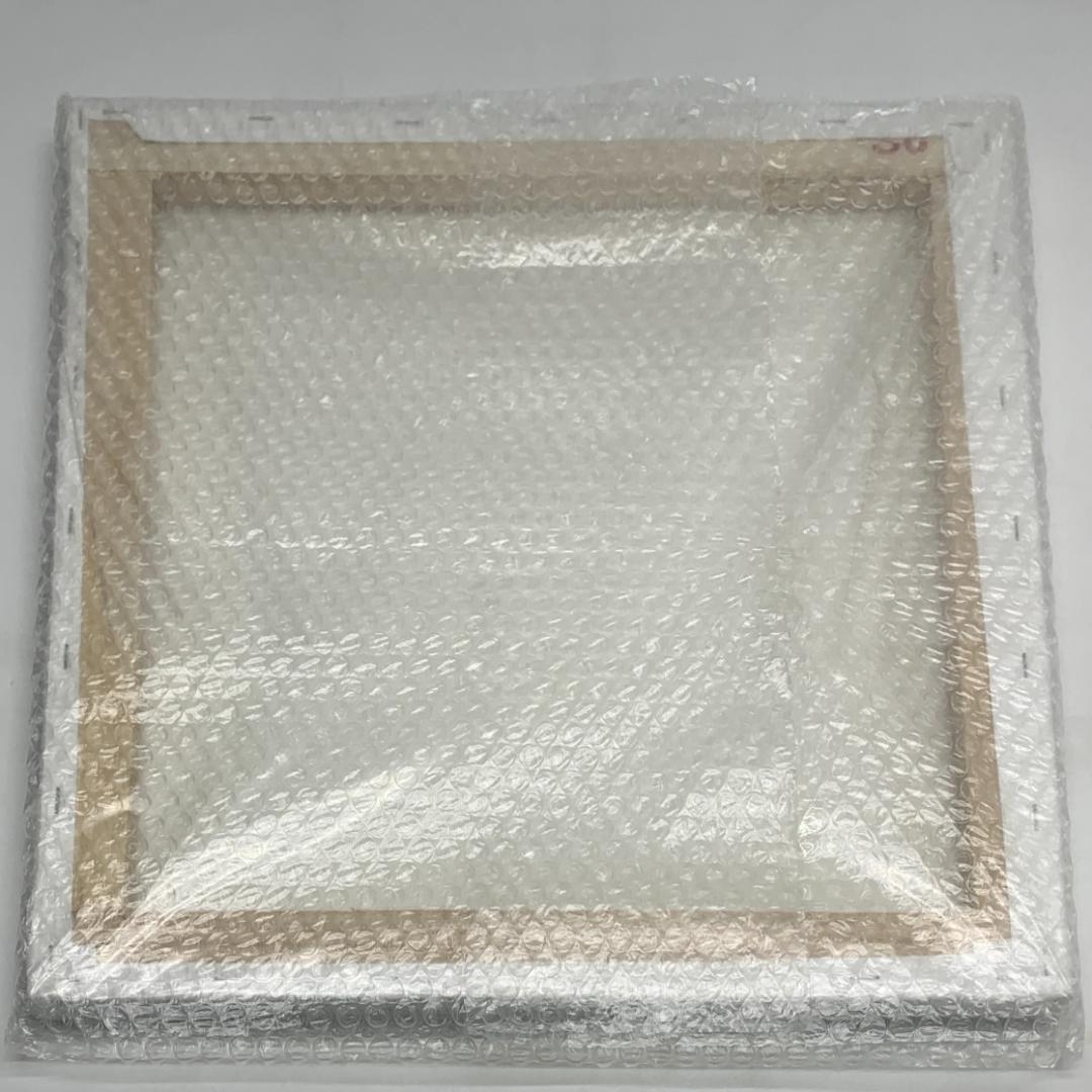 未開封 Hi-STANDARD キャンバスアート