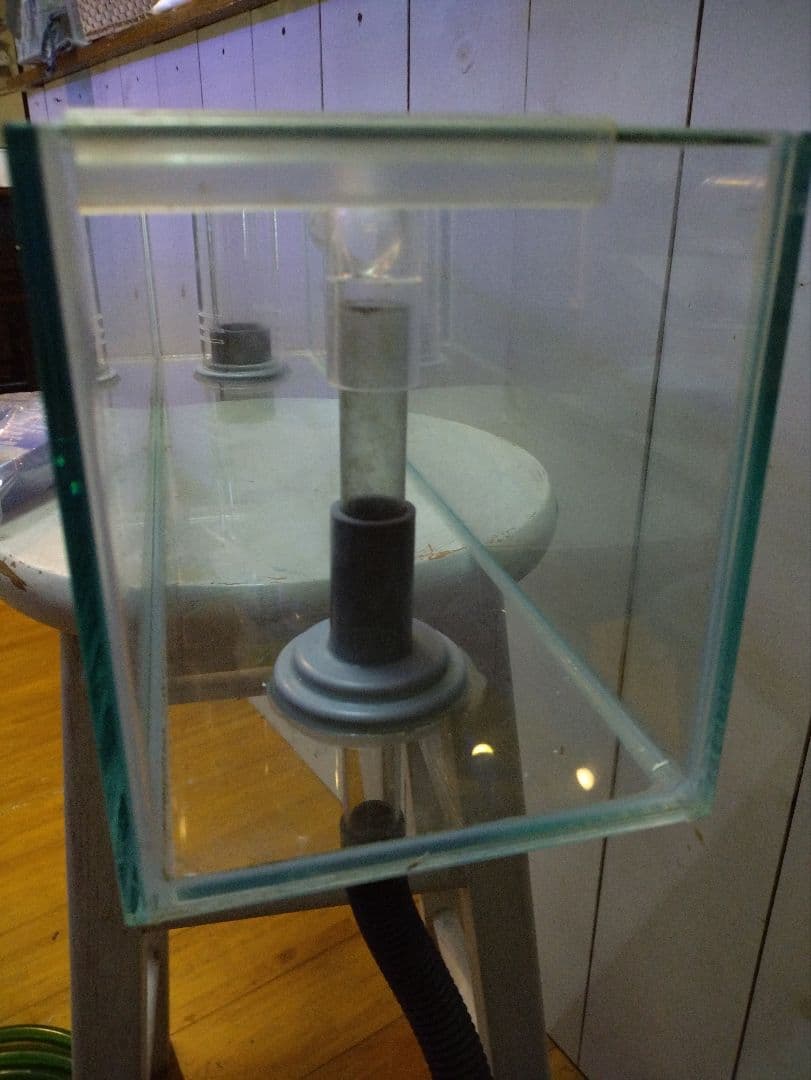 【今週限定値下げ】60センチオーバーフローガラス水槽 とエーハイム2213