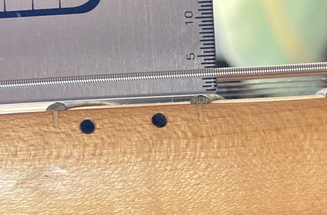 ギター FERNANDES THE FUNCTION japan vintage