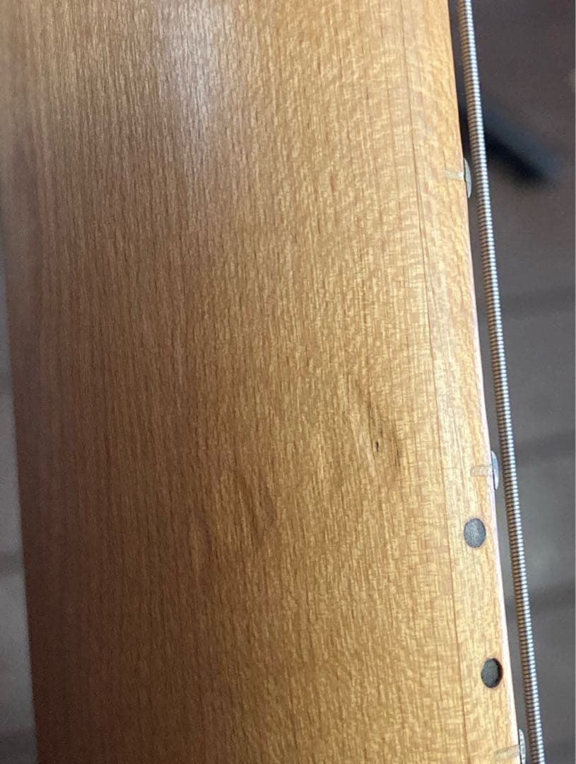 ギター FERNANDES THE FUNCTION japan vintage