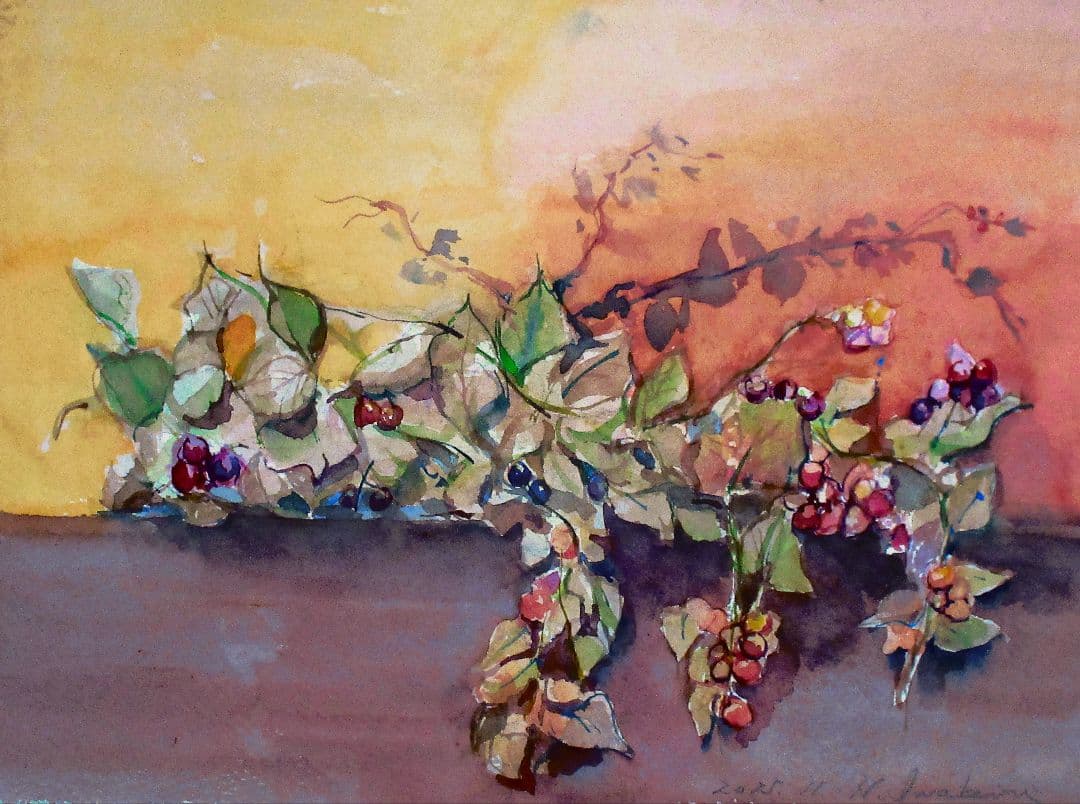 カラス瓜の水彩画 額装済み 原画 F6サイズ