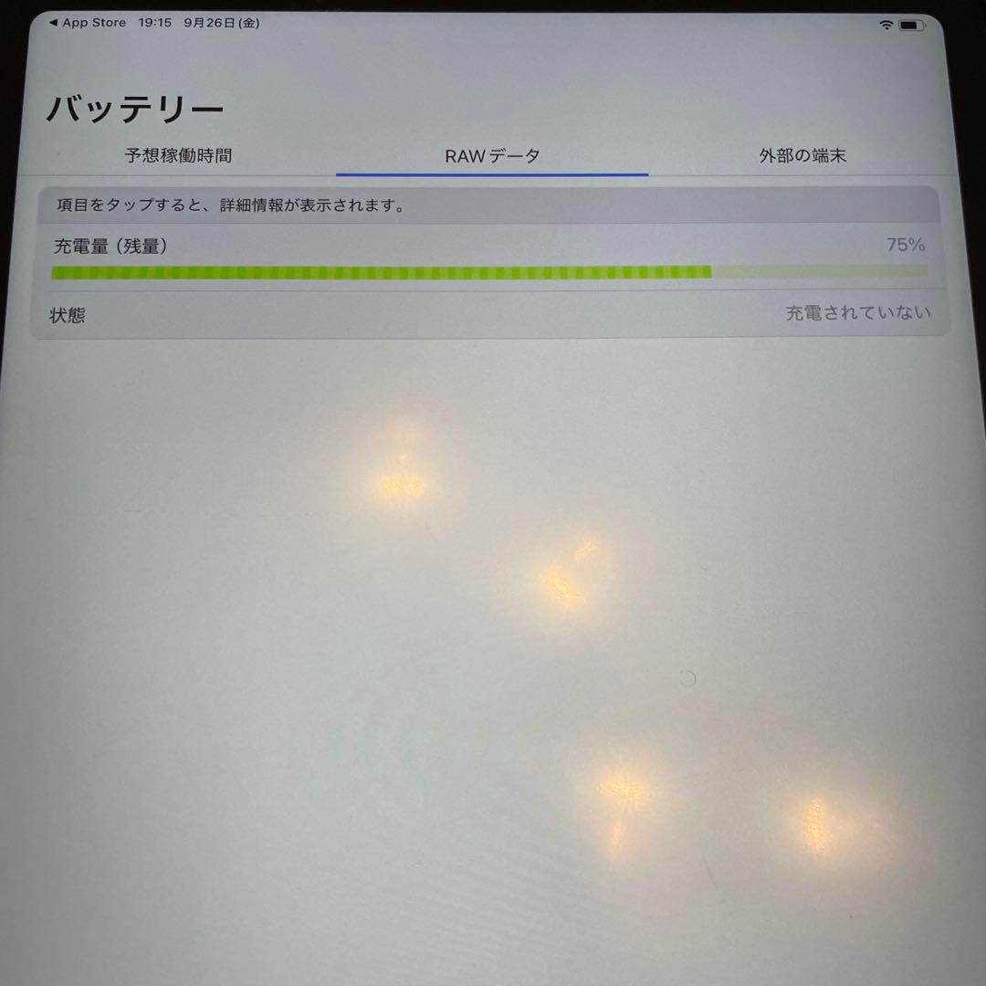 iPad Pro 4世代 512GB