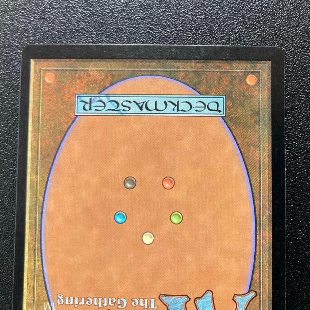 MTG タールルームの勇士、ターンガース 絵違い foil