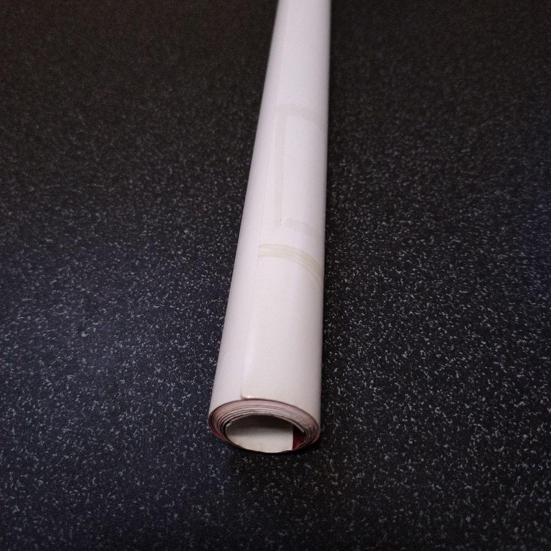 ヴァルキリープロファイル　咎を背負う者　販促用B2ポスター