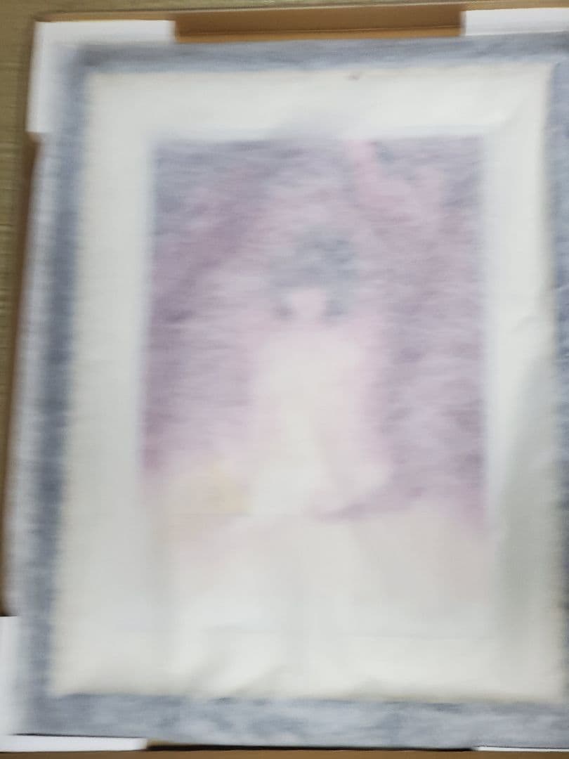 いのまたむつみ 版画 アメシスト アールビバン