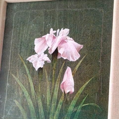 人気画家　増本憲樹　作（原画） 菖蒲 絵の部分32×22 F4号 定価　40万