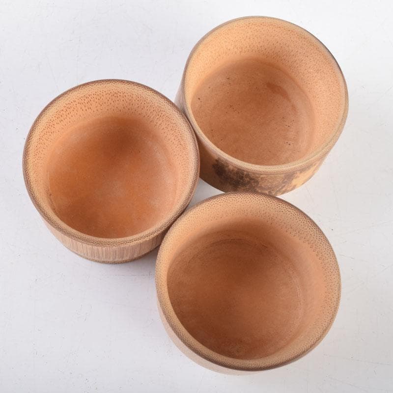 和食器　古竹製　盃　九客　C　8723