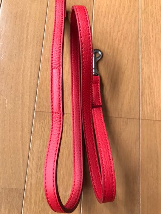 大型犬用カラー&リード