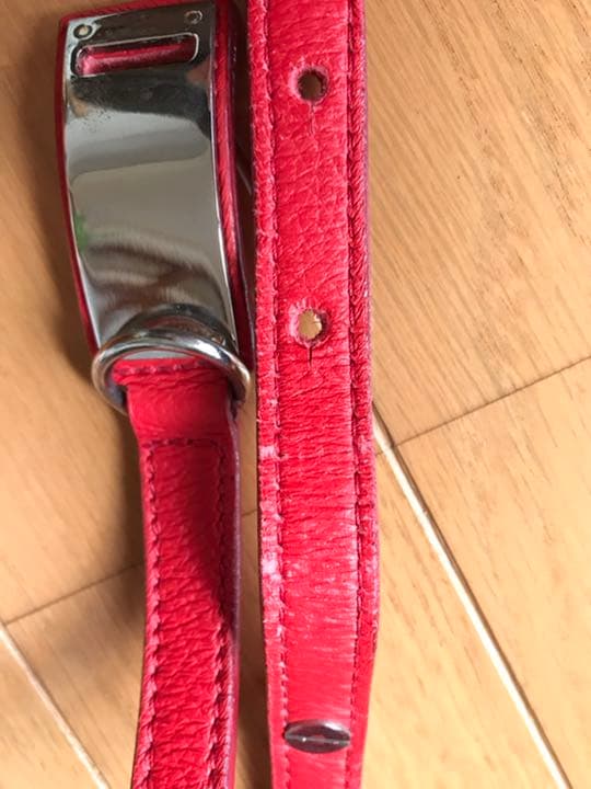 大型犬用カラー&リード