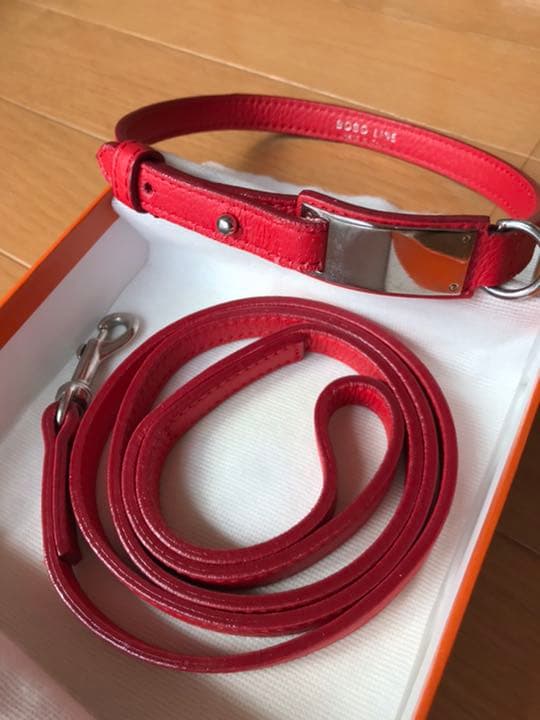 大型犬用カラー&リード