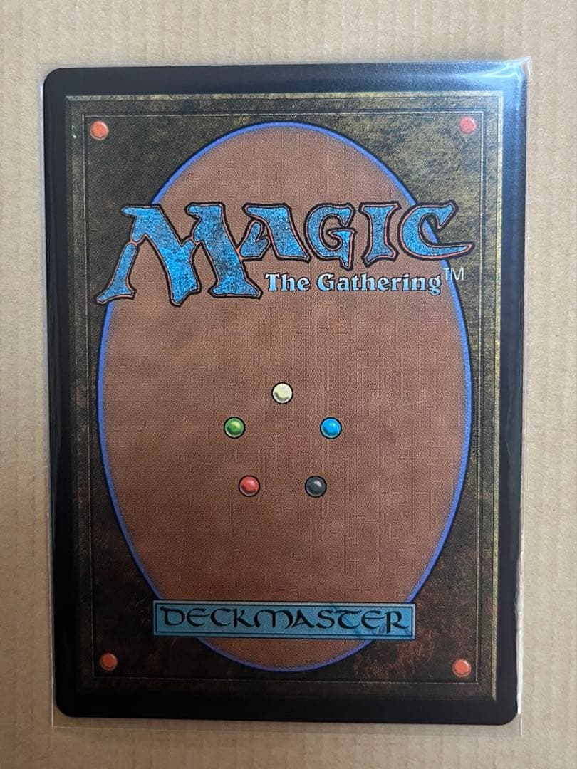 MTG FF《迷える黒魔道士、ビビ/Vivi Ornitier》