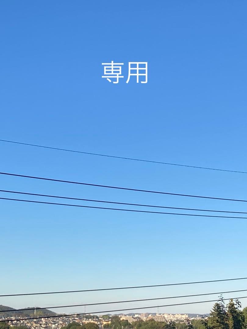 《専用》ハンドメイドネックレス　オルゴナイト　5点