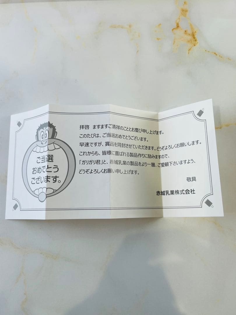 【激レア】ポケモンカード　ザルードV ガリガリ君　PSA10 プロモ　当選通知書