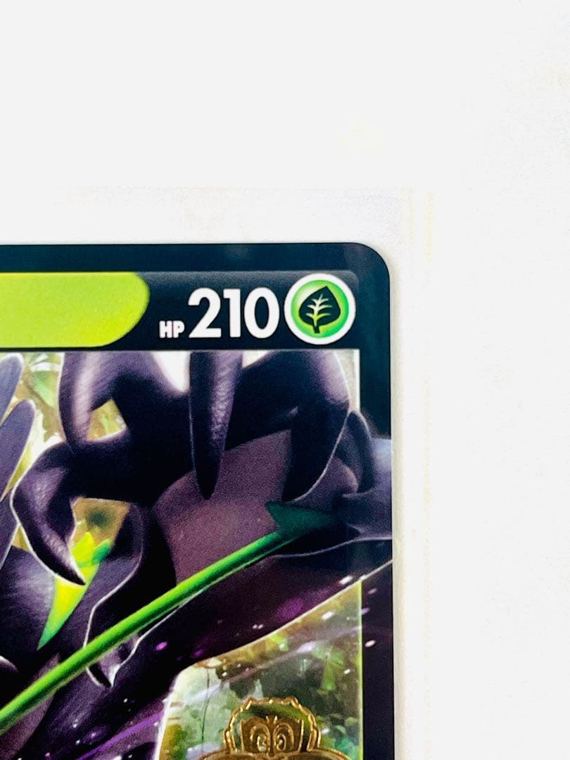 【激レア】ポケモンカード　ザルードV ガリガリ君　PSA10 プロモ　当選通知書