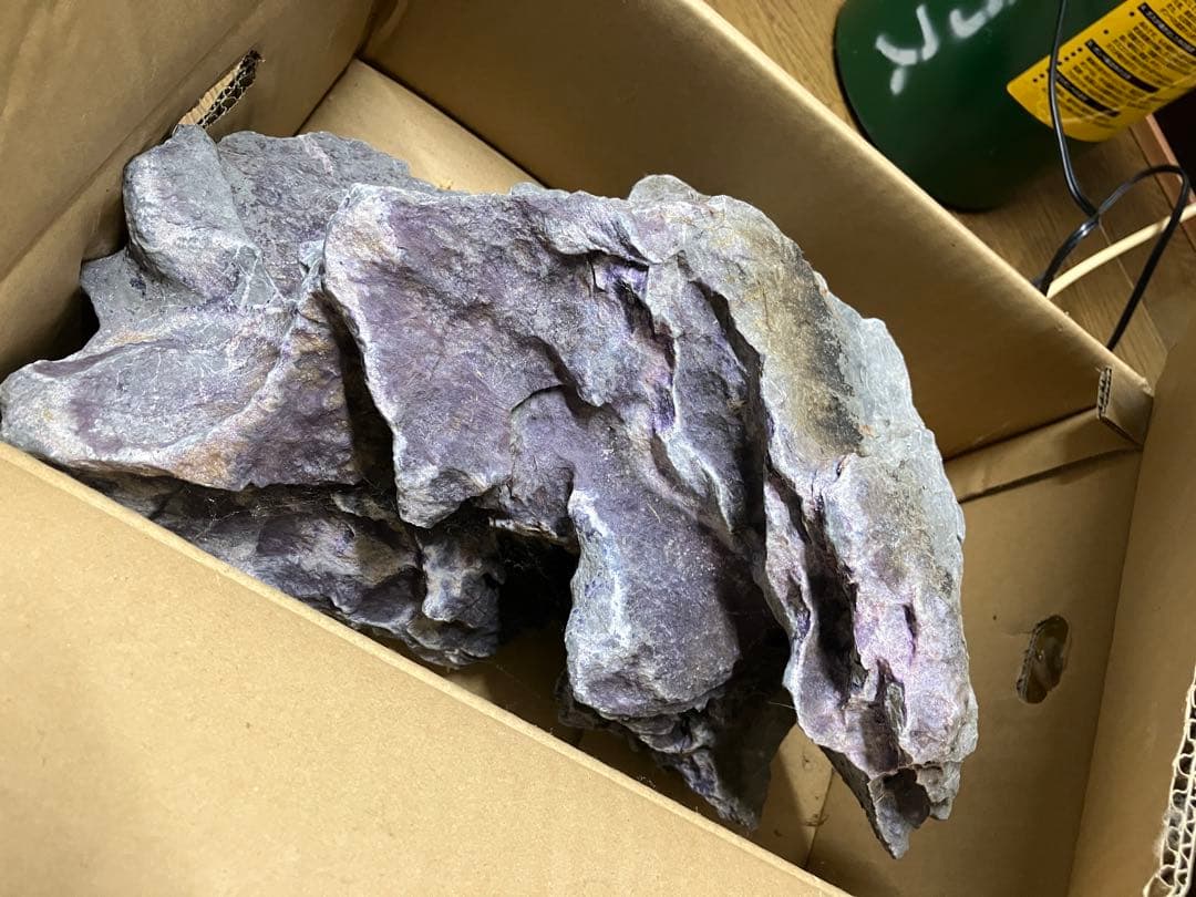 アクアリウム　アクアデザインアマノ