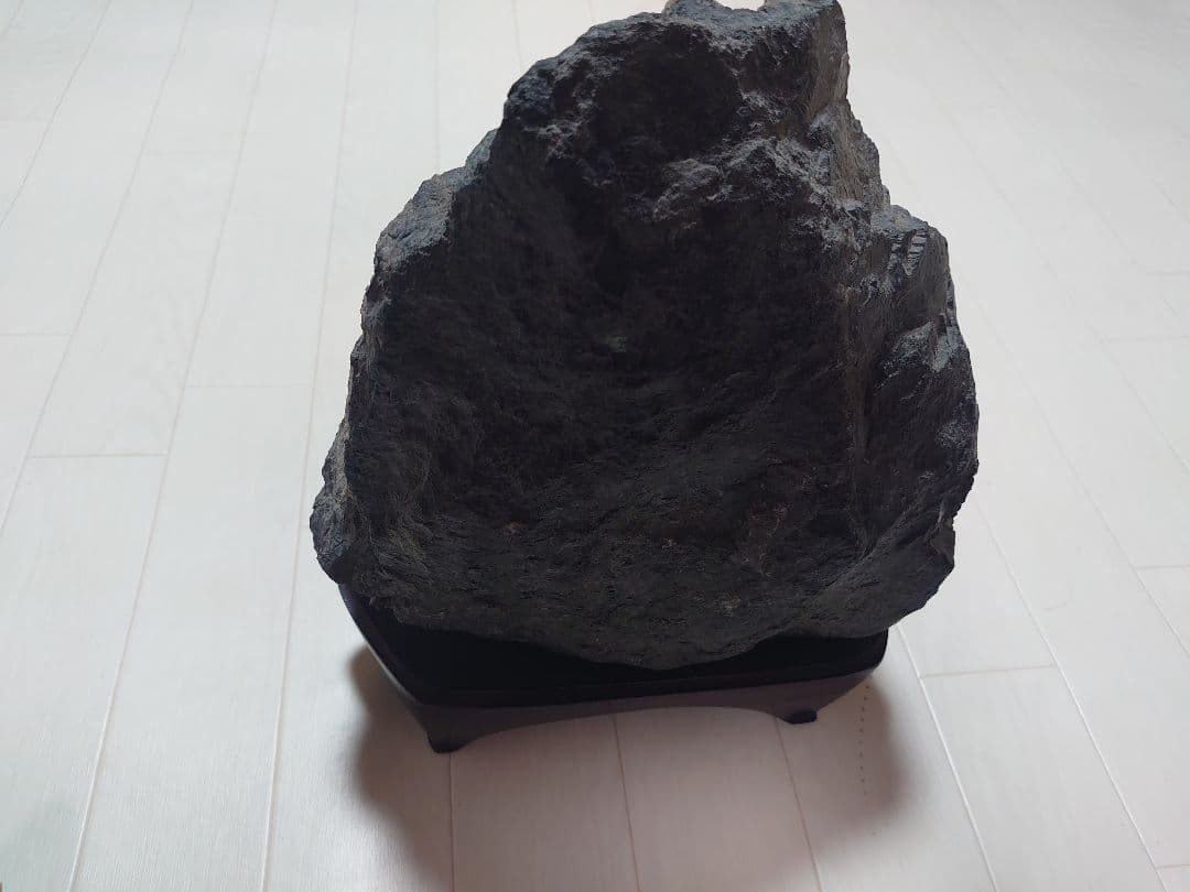 菊花石 根尾川 初鹿谷 サバ菊 10kg 希少品 激レア 観賞石 水石