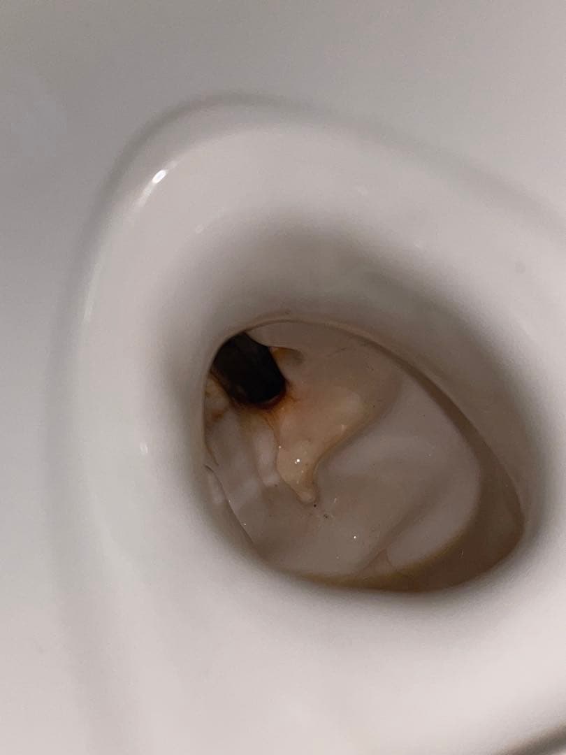 NEIGHBORHOOD ネイバーフッド BOOZE. COLT/CE 青 初期