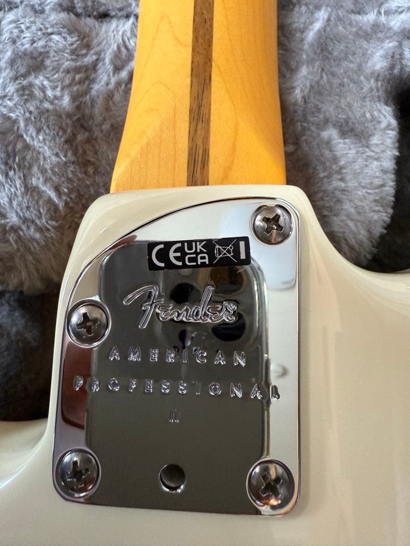 ギター Fender American Professional II
