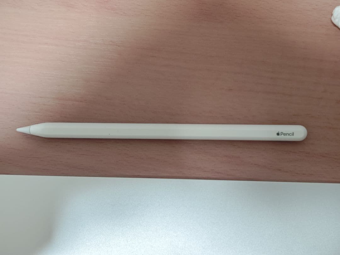 Apple iPad Pro 11インチ 第1世代 Wi-Fi 512GB