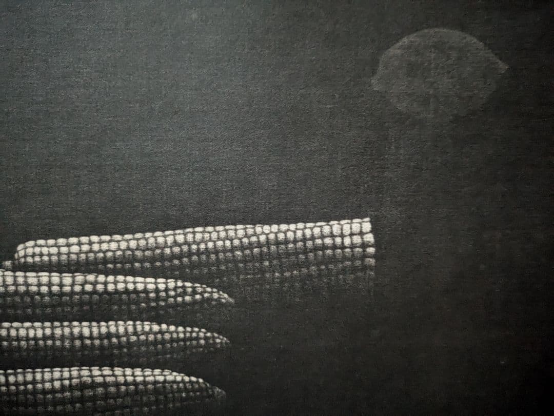 格安i浜口陽三の腐蝕銅版画　“黒”が織りなす静謐な銅版画「トウモロコシ」美品