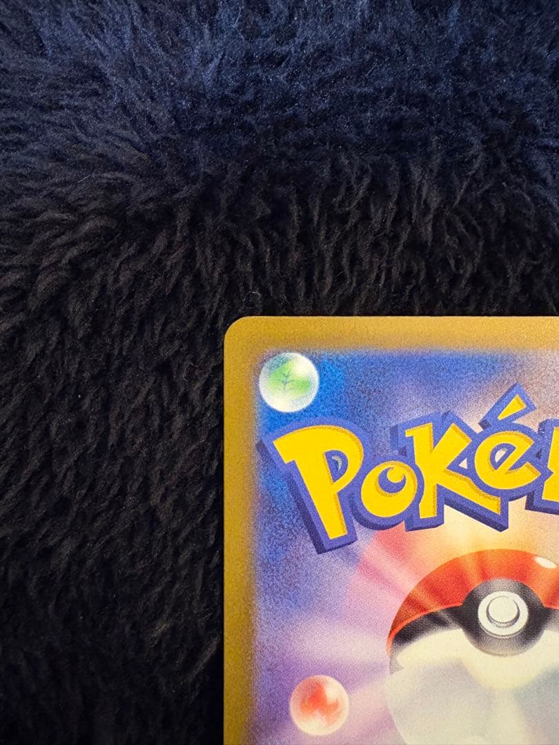 フ*)様 メガカイリューex SAR ポケモンカード