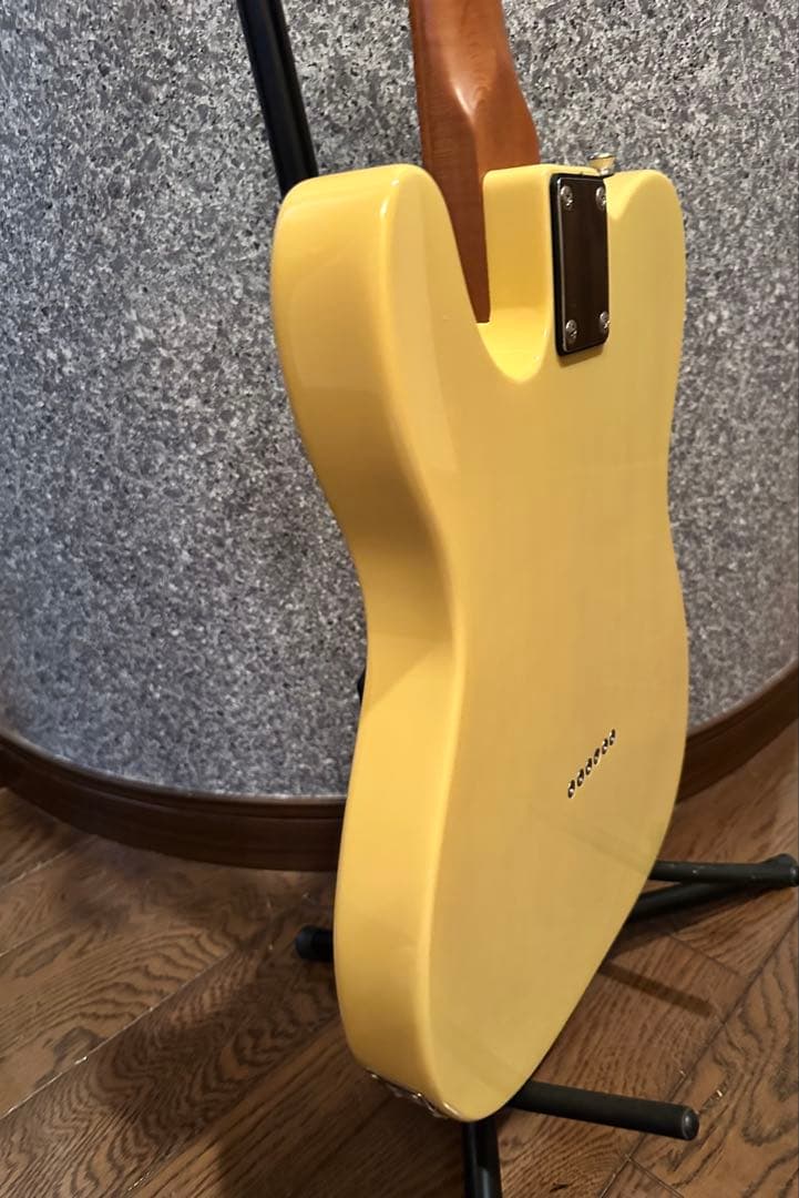 【怒犬-Dokken-】バッカス ユニバース テレキャスBTE-3改