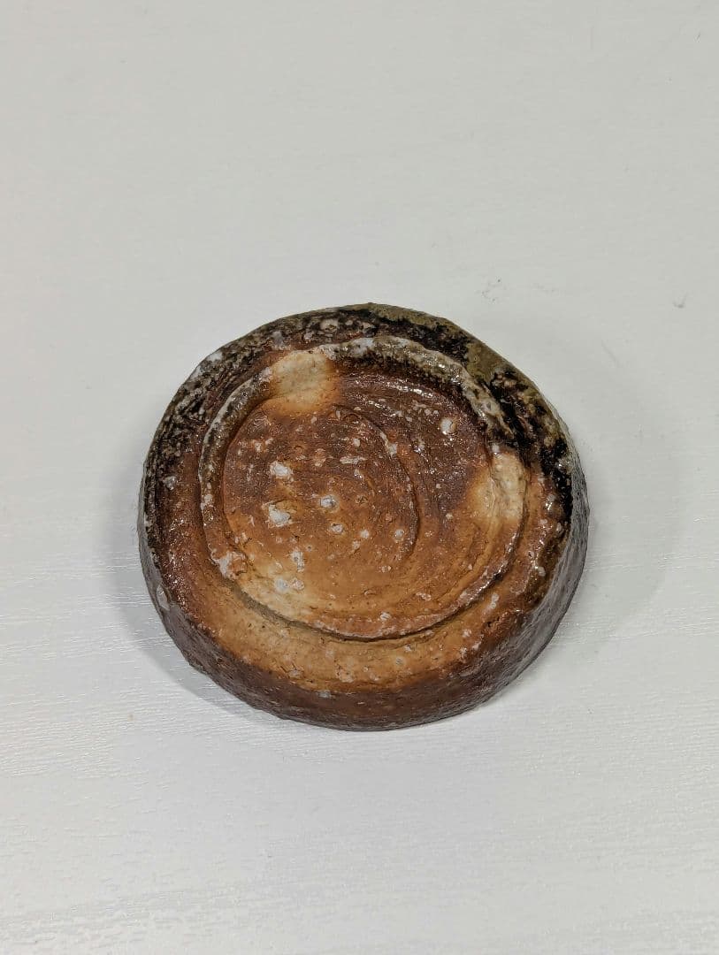 渡辺愛子　信楽盃