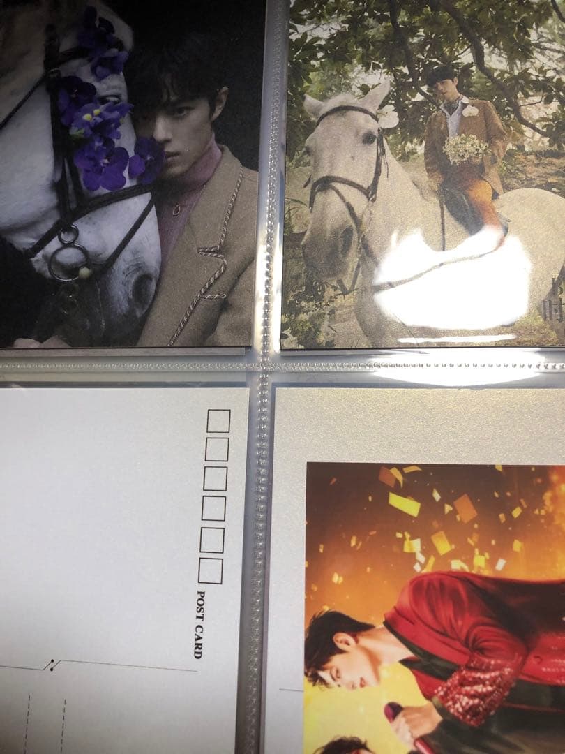 極レア　肖战 カードバインダー＋A4・ポストカード他詰め合わせアルバム　我们