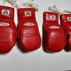 Winningジュニア用グローブ（２セット）