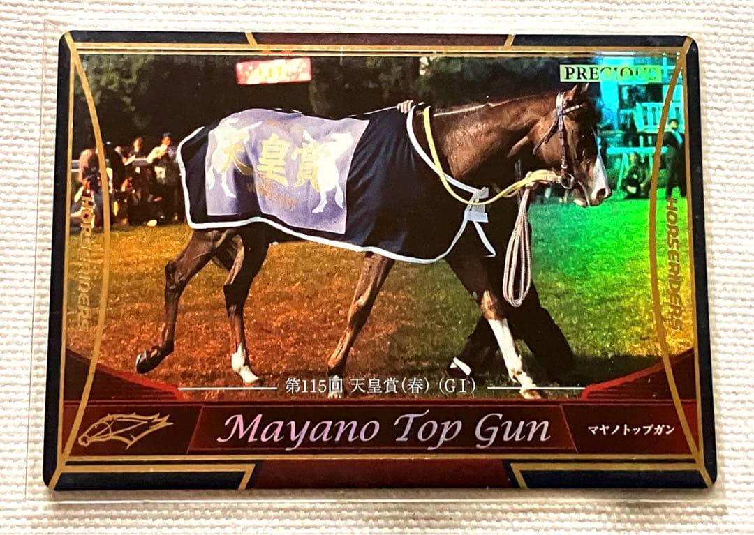 ホースライダーズ　マヤノトップガン