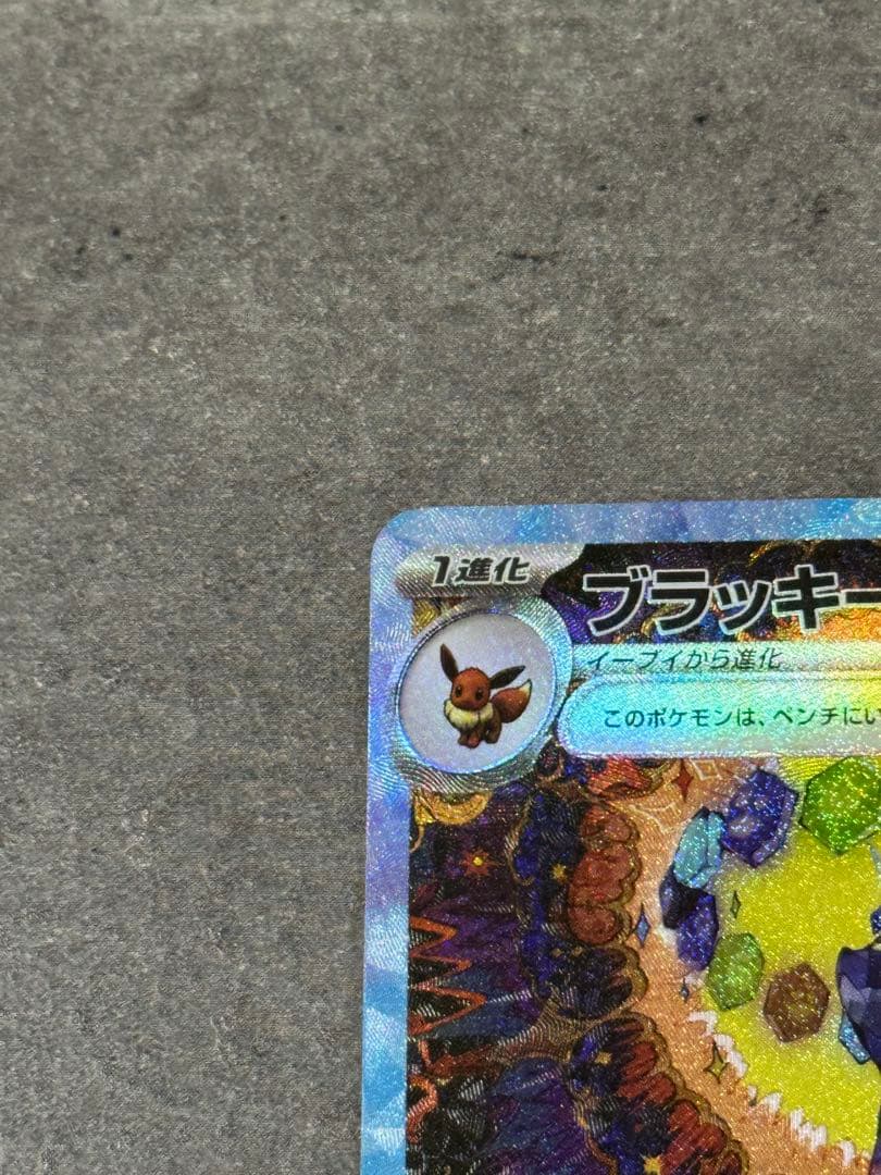 【美品】ブラッキーex SAR テラスタルフェスex