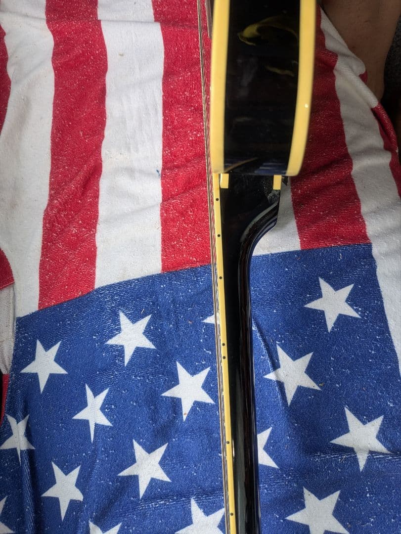 フェルナンデス／バーニー　RSA-60 セミアコ